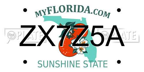 ZX7Z5A Florida License Plate