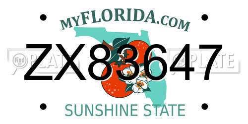 ZX83647 Florida License Plate