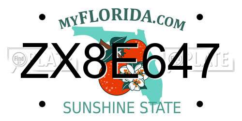 ZX8E647 Florida License Plate
