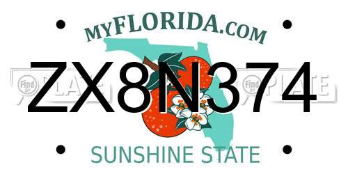 ZX8N374 Florida License Plate