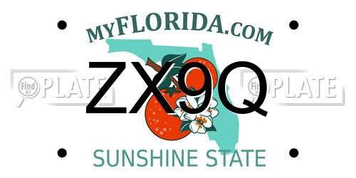ZX9Q Florida License Plate