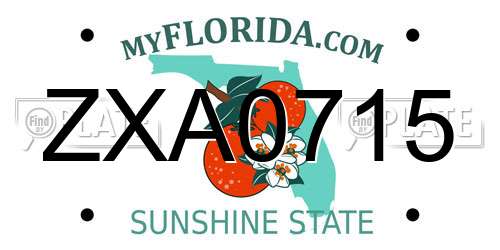 ZXA0715 Florida License Plate