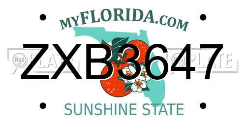 ZXB3647 Florida License Plate