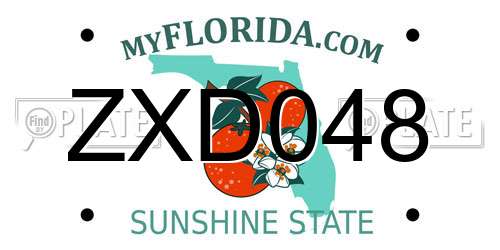 ZXD048 Florida License Plate