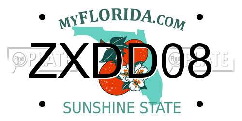 ZXDD08 Florida License Plate