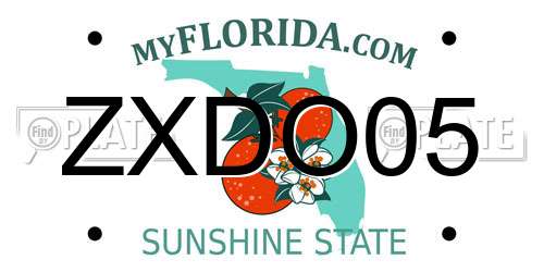 ZXDO05 Florida License Plate