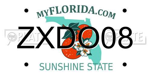 ZXDO08 Florida License Plate