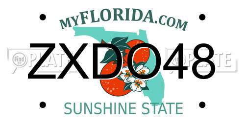 ZXDO48 Florida License Plate