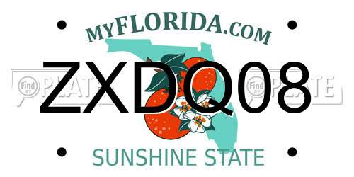 ZXDQ08 Florida License Plate
