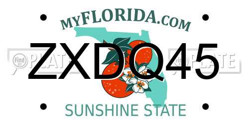 ZXDQ45 Florida License Plate