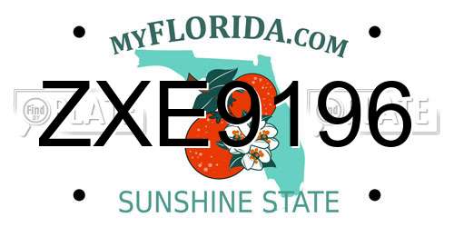 ZXE9196 Florida License Plate