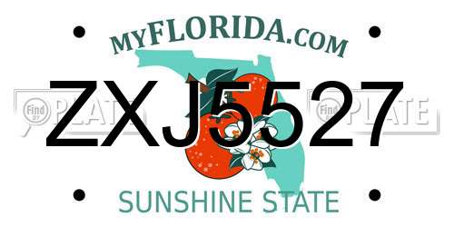 ZXJ5527 Florida License Plate