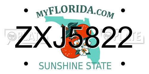 ZXJ5822 Florida License Plate