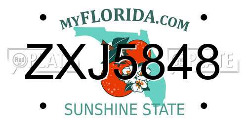 ZXJ5848 Florida License Plate