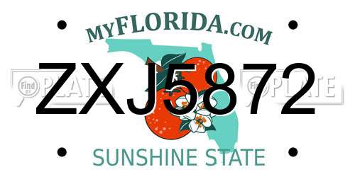 ZXJ5872 Florida License Plate
