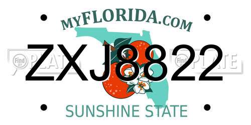 ZXJ8822 Florida License Plate