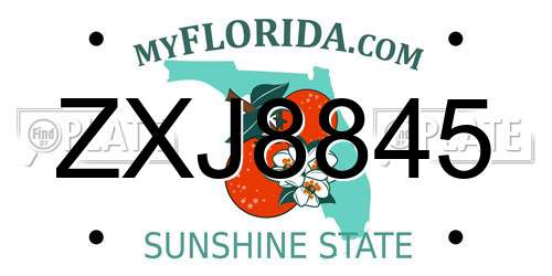ZXJ8845 Florida License Plate
