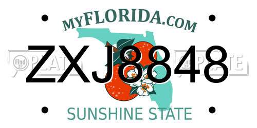 ZXJ8848 Florida License Plate