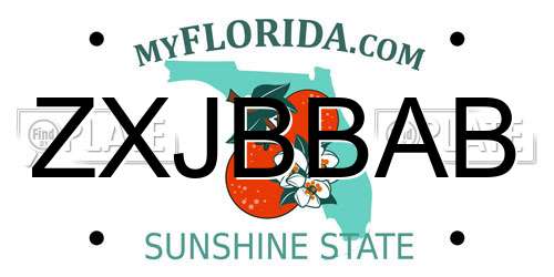 ZXJBBAB Florida License Plate