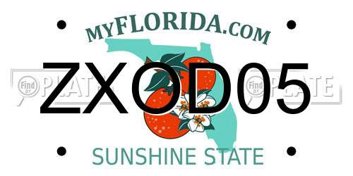 ZXOD05 Florida License Plate