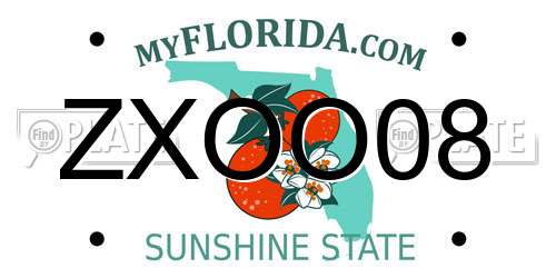 ZXOO08 Florida License Plate