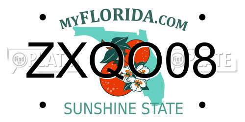 ZXQO08 Florida License Plate