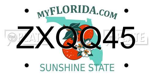 ZXQQ45 Florida License Plate
