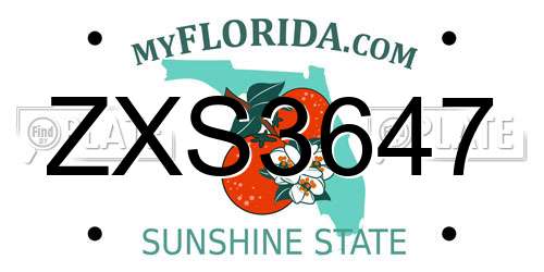 ZXS3647 Florida License Plate