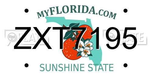 ZXT7195 Florida License Plate