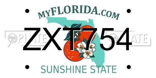 ZXT754 Florida License Plate