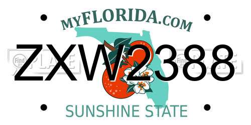 ZXW2388 Florida License Plate