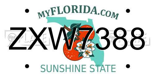 ZXW7388 Florida License Plate