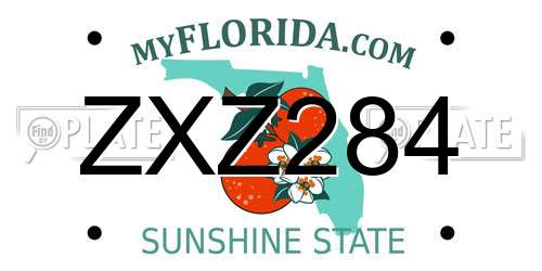 ZXZ284 Florida License Plate