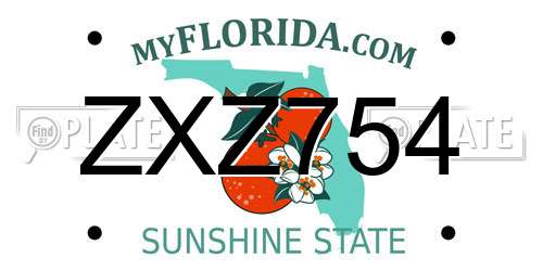 ZXZ754 Florida License Plate