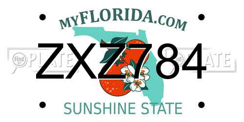 ZXZ784 Florida License Plate
