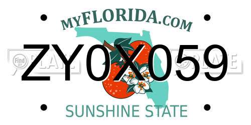 ZY0X059 Florida License Plate