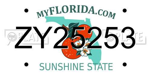 ZY25253 Florida License Plate