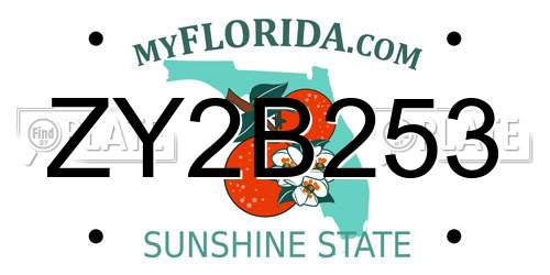 ZY2B253 Florida License Plate
