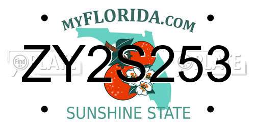 ZY2S253 Florida License Plate
