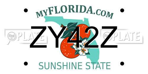 ZY42Z Florida License Plate