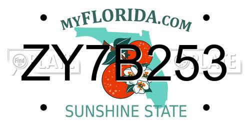 ZY7B253 Florida License Plate