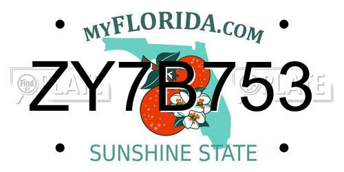 ZY7B753 Florida License Plate