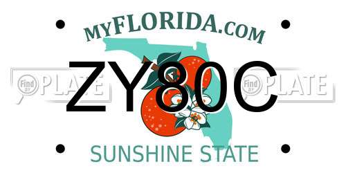 ZY80C Florida License Plate