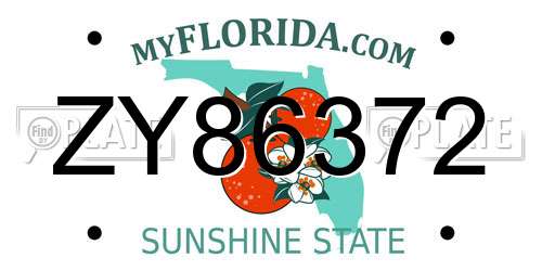 ZY86372 Florida License Plate