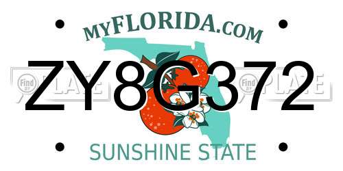 ZY8G372 Florida License Plate
