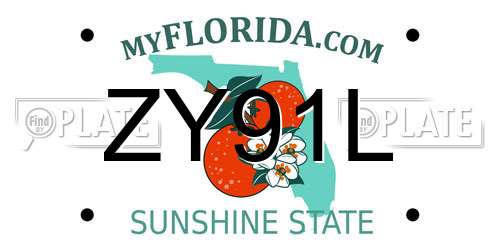 ZY91L Florida License Plate