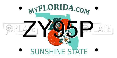 ZY95P Florida License Plate