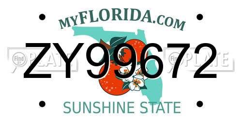 ZY99672 Florida License Plate
