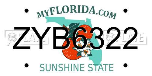 ZYB6322 Florida License Plate