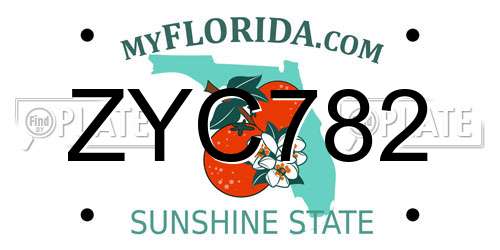 ZYC782 Florida License Plate